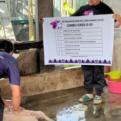 505368841 728364479873634 1394354598245226712 N