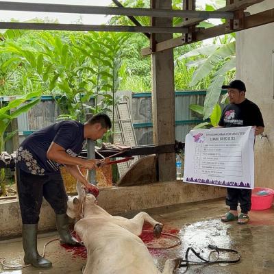 505584507 728364323206983 7784991876877608560 N