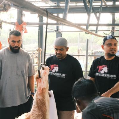 505642777 728364396540309 7926322013682213863 N